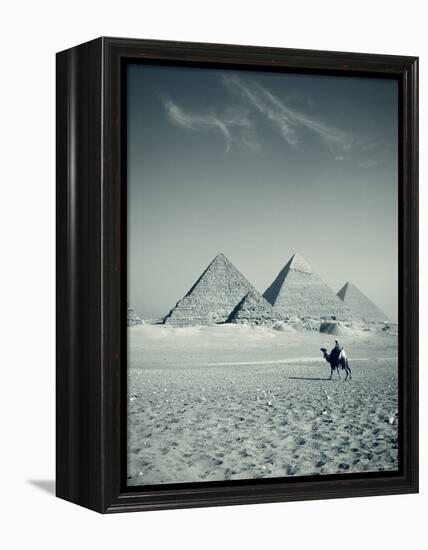 Camel and Giza Pyramids, Giza, Cairo, Egypt-Jon Arnold-Framed Premier Image Canvas