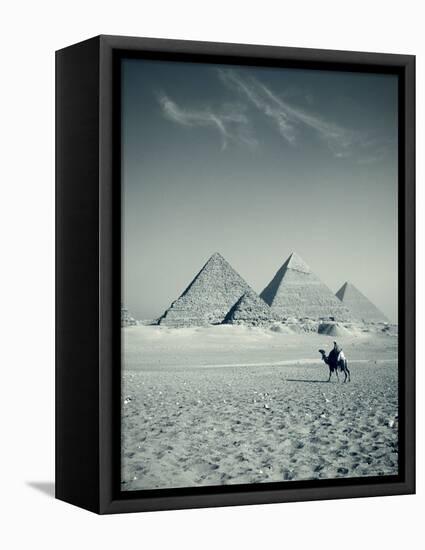 Camel and Giza Pyramids, Giza, Cairo, Egypt-Jon Arnold-Framed Premier Image Canvas