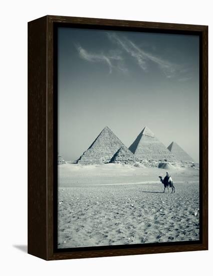 Camel and Giza Pyramids, Giza, Cairo, Egypt-Jon Arnold-Framed Premier Image Canvas