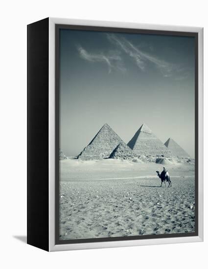 Camel and Giza Pyramids, Giza, Cairo, Egypt-Jon Arnold-Framed Premier Image Canvas