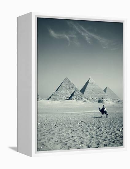 Camel and Giza Pyramids, Giza, Cairo, Egypt-Jon Arnold-Framed Premier Image Canvas