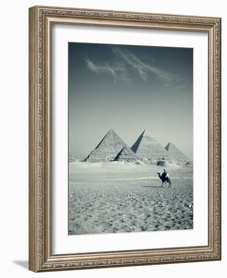 Camel and Giza Pyramids, Giza, Cairo, Egypt-Jon Arnold-Framed Photographic Print