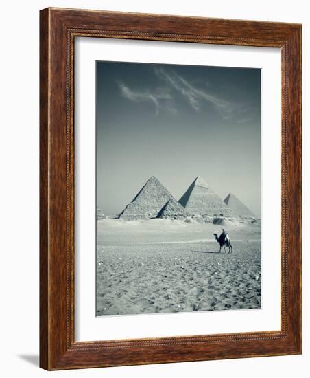 Camel and Giza Pyramids, Giza, Cairo, Egypt-Jon Arnold-Framed Photographic Print