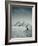 Camel and Giza Pyramids, Giza, Cairo, Egypt-Jon Arnold-Framed Photographic Print