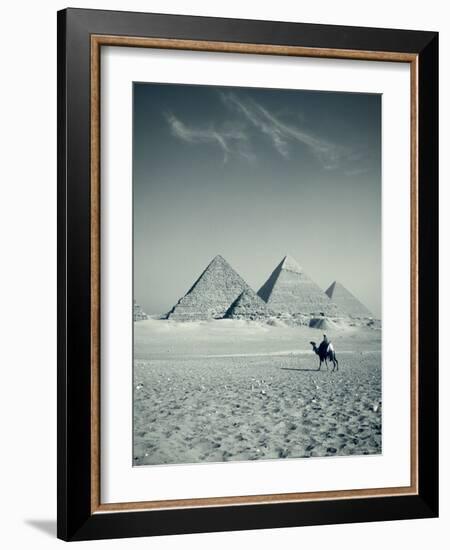 Camel and Giza Pyramids, Giza, Cairo, Egypt-Jon Arnold-Framed Photographic Print