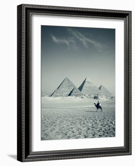 Camel and Giza Pyramids, Giza, Cairo, Egypt-Jon Arnold-Framed Photographic Print