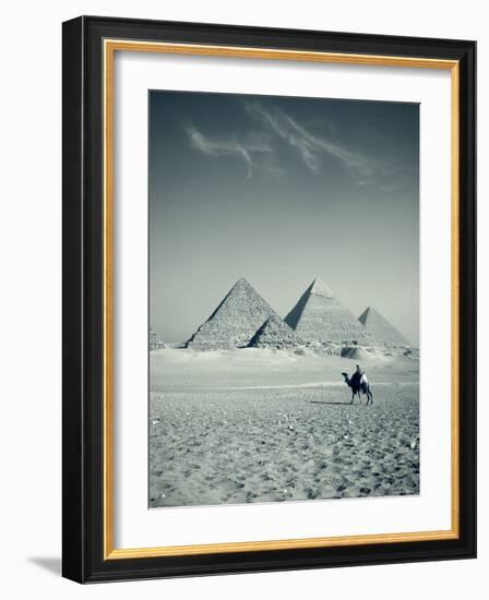 Camel and Giza Pyramids, Giza, Cairo, Egypt-Jon Arnold-Framed Photographic Print