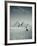 Camel and Giza Pyramids, Giza, Cairo, Egypt-Jon Arnold-Framed Photographic Print