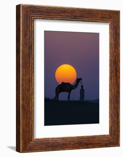 Camel and person at sunset, Thar Desert, Rajasthan, India-Art Wolfe-Framed Photographic Print