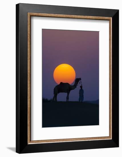 Camel and person at sunset, Thar Desert, Rajasthan, India-Art Wolfe-Framed Photographic Print