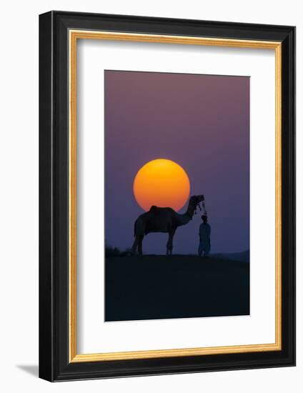 Camel and person at sunset, Thar Desert, Rajasthan, India-Art Wolfe-Framed Photographic Print