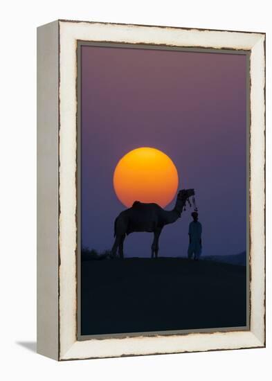 Camel and person at sunset, Thar Desert, Rajasthan, India-Art Wolfe-Framed Premier Image Canvas