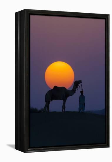 Camel and person at sunset, Thar Desert, Rajasthan, India-Art Wolfe-Framed Premier Image Canvas