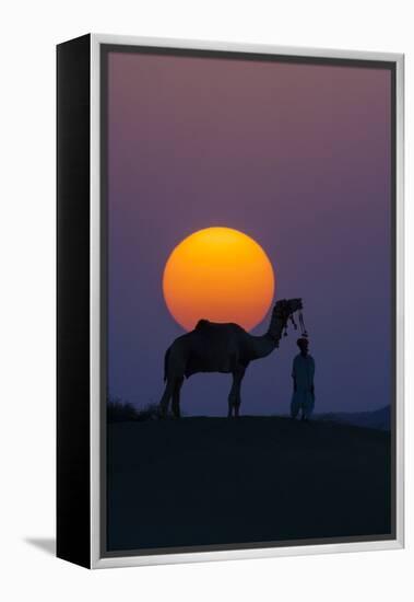 Camel and person at sunset, Thar Desert, Rajasthan, India-Art Wolfe-Framed Premier Image Canvas