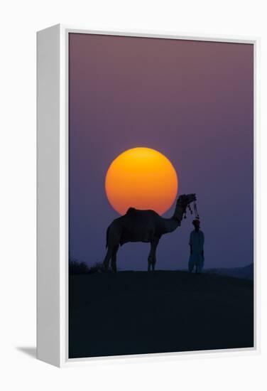 Camel and person at sunset, Thar Desert, Rajasthan, India-Art Wolfe-Framed Premier Image Canvas