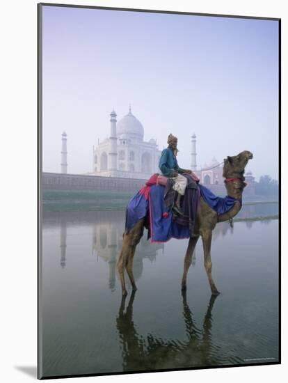 Camel and Rider in Front of the Taj Mahal and Yamuna River, Taj Mahal, Uttar Pradesh State, India-Gavin Hellier-Mounted Photographic Print