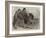 Camel and Young-null-Framed Giclee Print