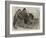 Camel and Young-null-Framed Giclee Print