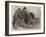 Camel and Young-null-Framed Giclee Print