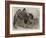 Camel and Young-null-Framed Giclee Print