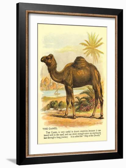 Camel by the Nile-null-Framed Art Print