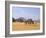 Camel Caravan, Akakus, Sahara Desert, Fezzan, Libya, North Africa, Africa-Sergio Pitamitz-Framed Photographic Print