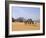 Camel Caravan, Akakus, Sahara Desert, Fezzan, Libya, North Africa, Africa-Sergio Pitamitz-Framed Photographic Print