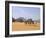 Camel Caravan, Akakus, Sahara Desert, Fezzan, Libya, North Africa, Africa-Sergio Pitamitz-Framed Photographic Print