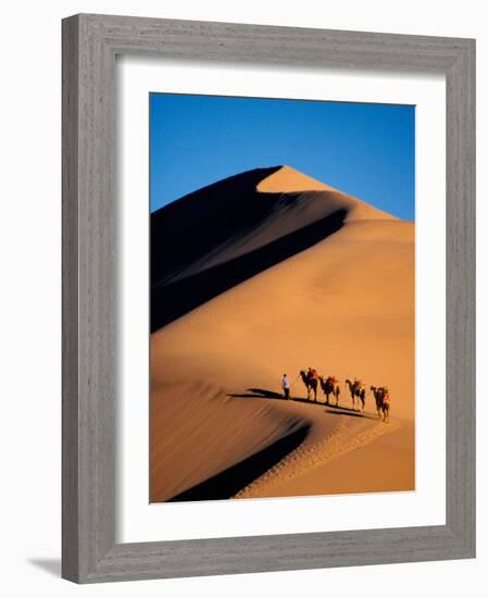 Camel Caravan at Sunset, Silk Road, China-Keren Su-Framed Photographic Print