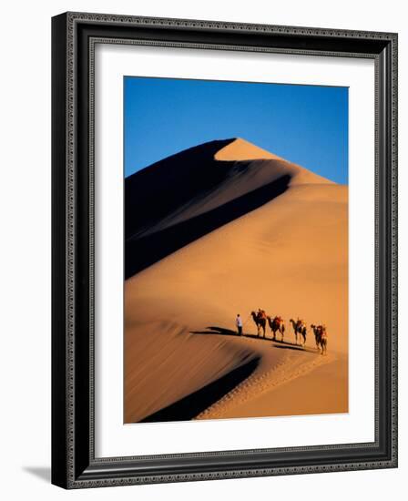 Camel Caravan at Sunset, Silk Road, China-Keren Su-Framed Photographic Print