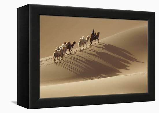 Camel caravan, Badain Jaran Desert, Inner Mongolia, China.-Ellen Anon-Framed Premier Image Canvas