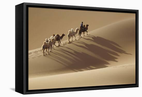 Camel caravan, Badain Jaran Desert, Inner Mongolia, China.-Ellen Anon-Framed Premier Image Canvas