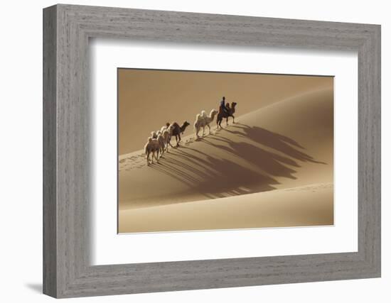 Camel caravan, Badain Jaran Desert, Inner Mongolia, China.-Ellen Anon-Framed Photographic Print