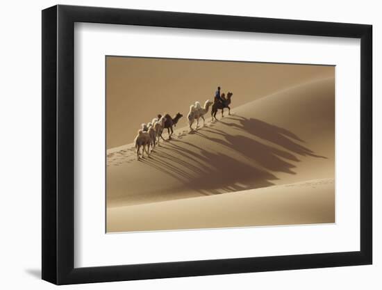 Camel caravan, Badain Jaran Desert, Inner Mongolia, China.-Ellen Anon-Framed Photographic Print