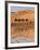 Camel Caravan Going along the Lake the Sahara Desert, Morocco.-Vladimir Wrangel-Framed Photographic Print