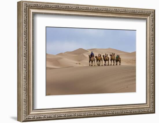 Camel Caravan in the Dunes. Gobi Desert. Mongolia.-Tom Norring-Framed Photographic Print