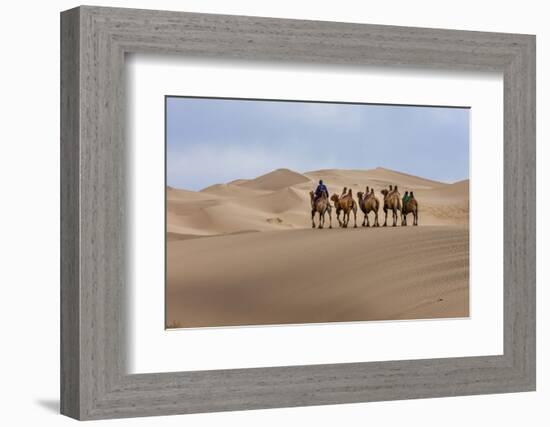 Camel Caravan in the Dunes. Gobi Desert. Mongolia.-Tom Norring-Framed Photographic Print