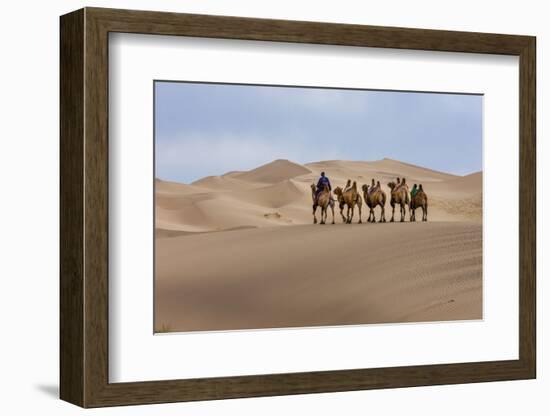 Camel Caravan in the Dunes. Gobi Desert. Mongolia.-Tom Norring-Framed Photographic Print