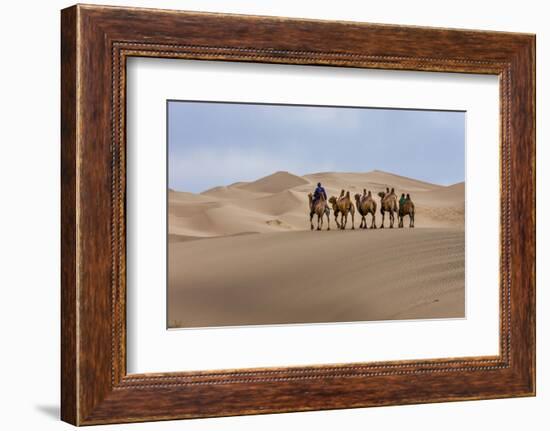 Camel Caravan in the Dunes. Gobi Desert. Mongolia.-Tom Norring-Framed Photographic Print