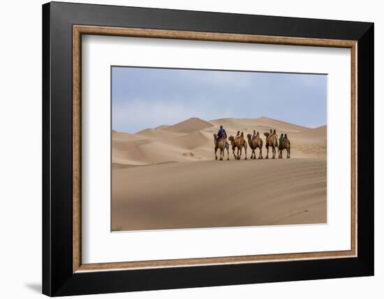 Camel Caravan in the Dunes. Gobi Desert. Mongolia.-Tom Norring-Framed Photographic Print