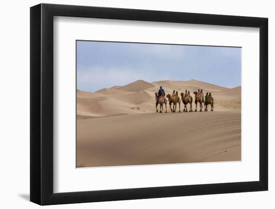 Camel Caravan in the Dunes. Gobi Desert. Mongolia.-Tom Norring-Framed Photographic Print