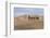 Camel Caravan in the Dunes. Gobi Desert. Mongolia.-Tom Norring-Framed Photographic Print