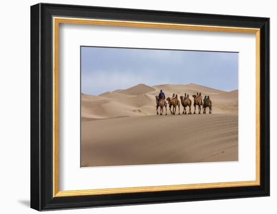 Camel Caravan in the Dunes. Gobi Desert. Mongolia.-Tom Norring-Framed Photographic Print