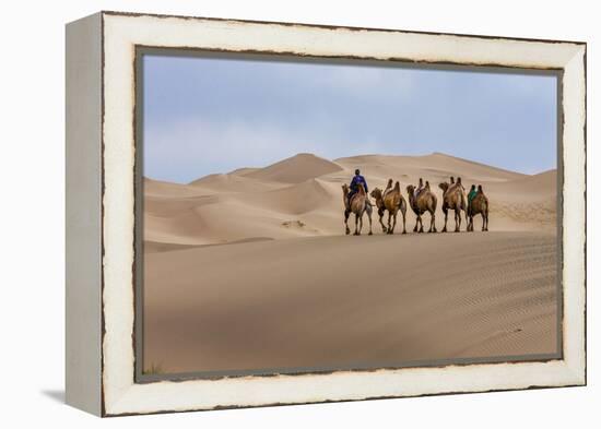 Camel Caravan in the Dunes. Gobi Desert. Mongolia.-Tom Norring-Framed Premier Image Canvas