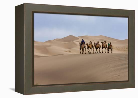 Camel Caravan in the Dunes. Gobi Desert. Mongolia.-Tom Norring-Framed Premier Image Canvas
