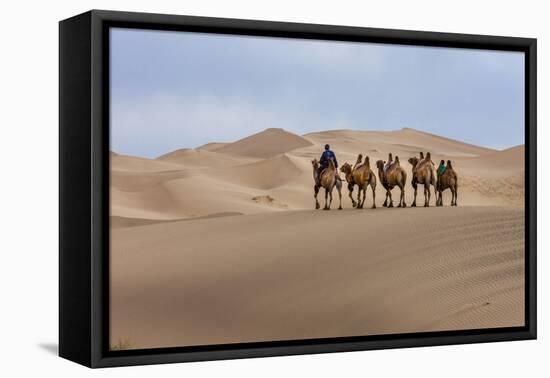 Camel Caravan in the Dunes. Gobi Desert. Mongolia.-Tom Norring-Framed Premier Image Canvas