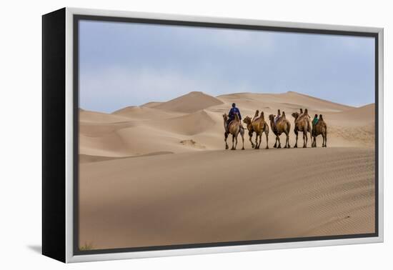 Camel Caravan in the Dunes. Gobi Desert. Mongolia.-Tom Norring-Framed Premier Image Canvas