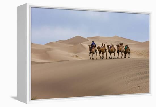 Camel Caravan in the Dunes. Gobi Desert. Mongolia.-Tom Norring-Framed Premier Image Canvas