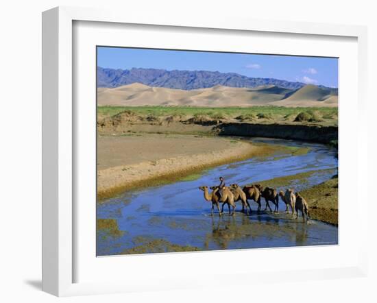 Camel Caravan, Khongoryn Els Dune, Gobi Desert National Park, Omnogov, Mongolia-Bruno Morandi-Framed Photographic Print