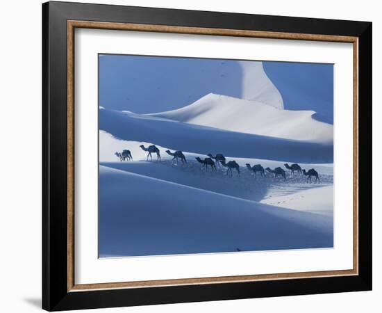 Camel Caravan on the Erg Chebbi Dunes, Merzouga, Tafilalt, Morocco-Walter Bibikow-Framed Photographic Print